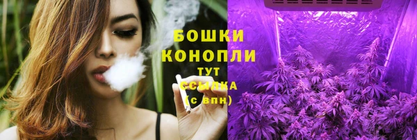 дурь Арсеньев