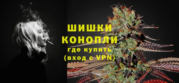 дурь Арсеньев