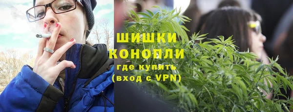 дурь Арсеньев