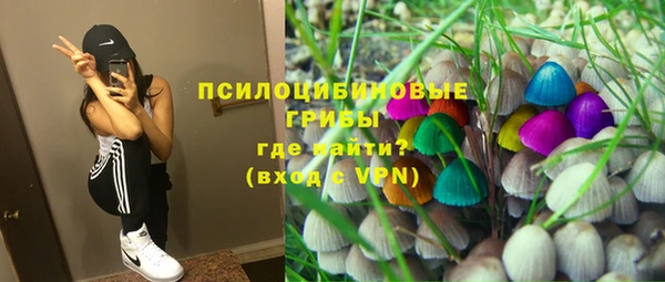круглые Аркадак