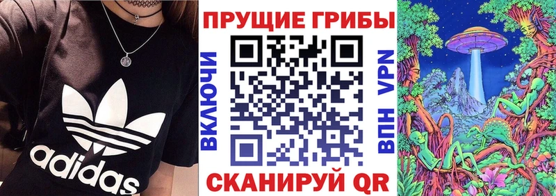 Псилоцибиновые грибы ЛСД  Купить закладки  Курчатов 